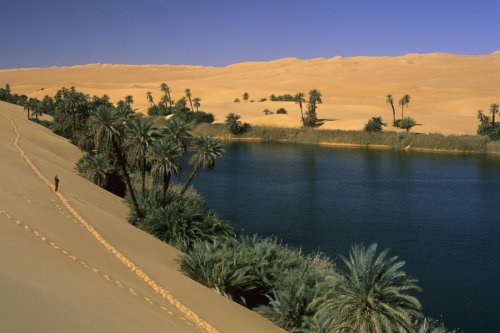 Lac d’Oum El Ma au pied de grandes dunes (Désert, Erg Oubari, Lybie)(V 17889)