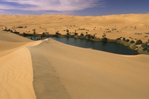 Lac d'Oum El Ma au milieu de grandes dunes (Désert, Erg Oubari, Lybie)(V 17912)