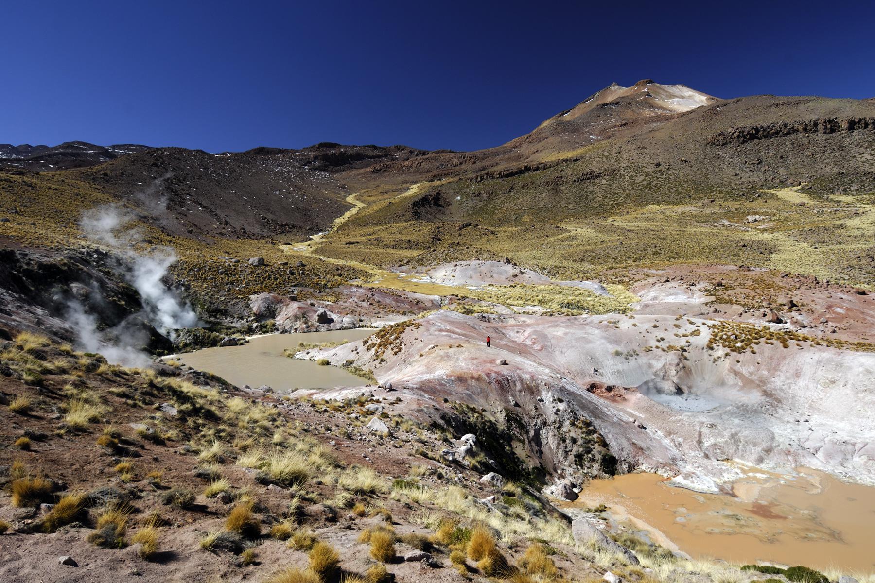 Chili. Altiplano. Champs de solfatares à proximité du Tatio.
