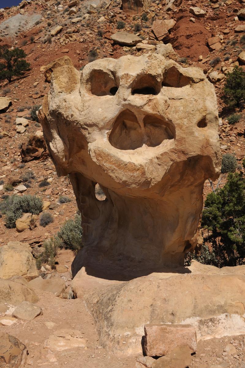 Capitol Reef (Utah). Sur la route de Grand Wash canyon. Rocher sculpté par l'érosion en forme de monstre.