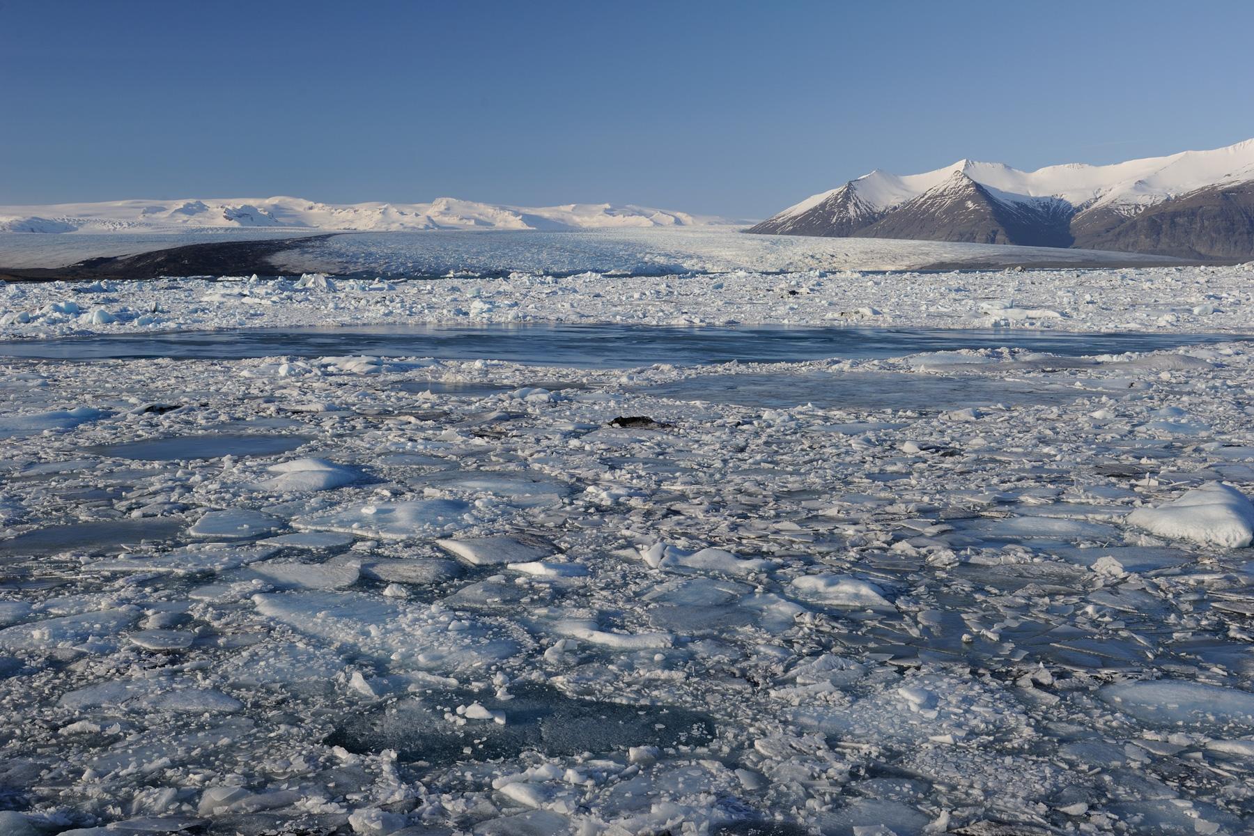Islande - Lagune du Jokulsarlon envahie par les blocs de glace