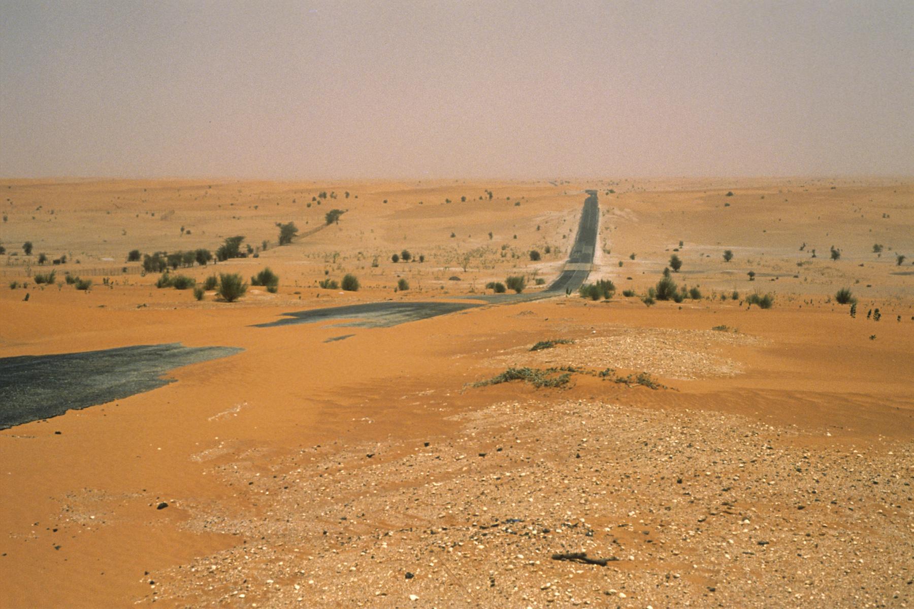 Le sable du Sahara vole aux quatre coins du monde, et fertilise