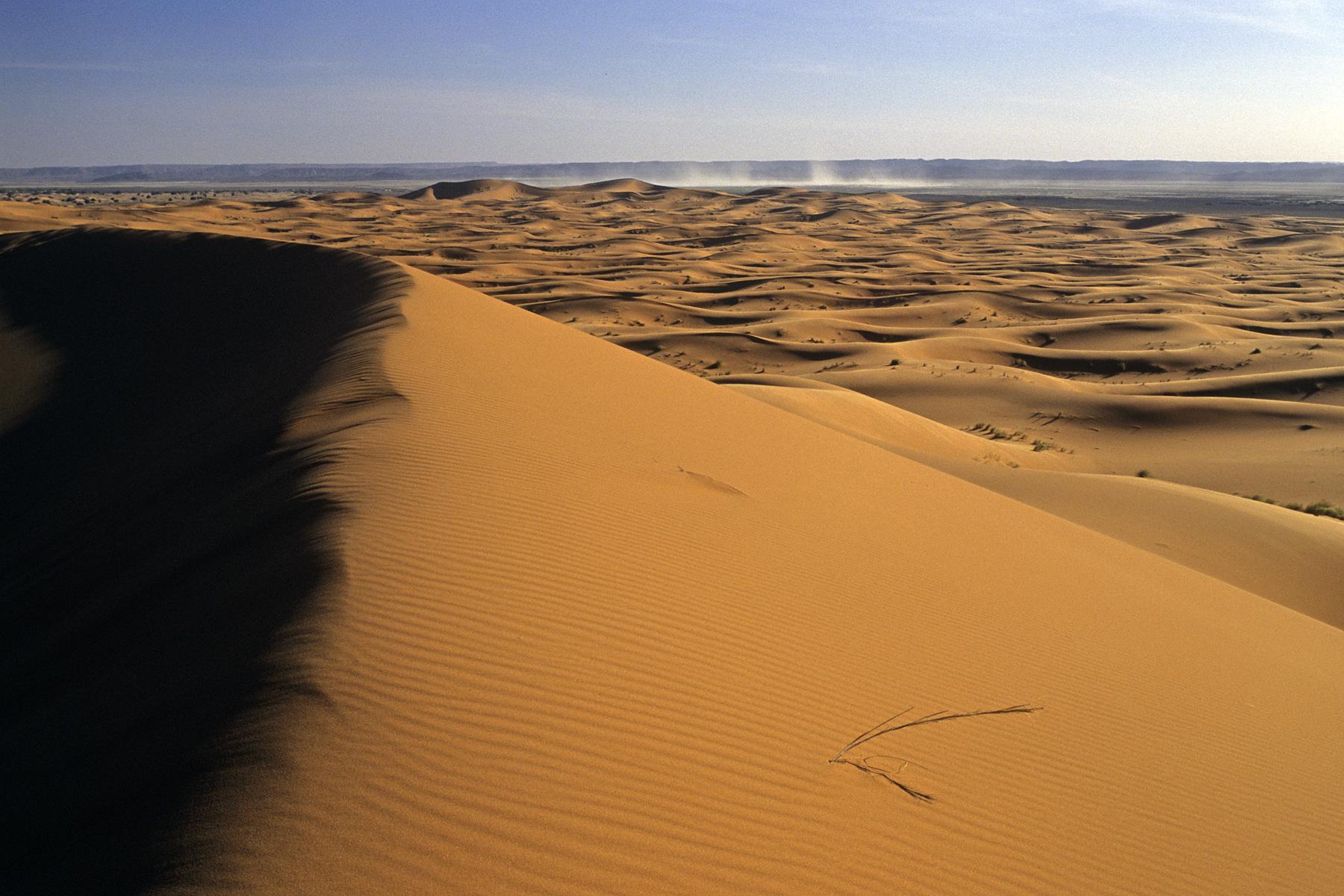 Dunes de Merzouga. Vue générale.
