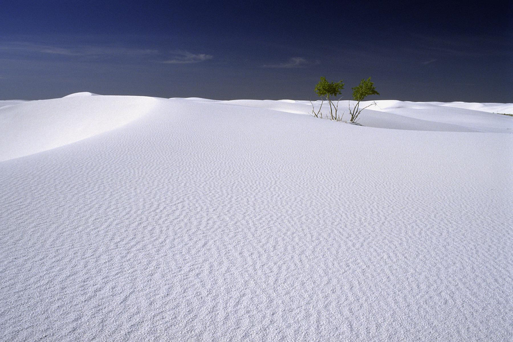 White Sands National Monument, New Mexico. Désert de gypse.