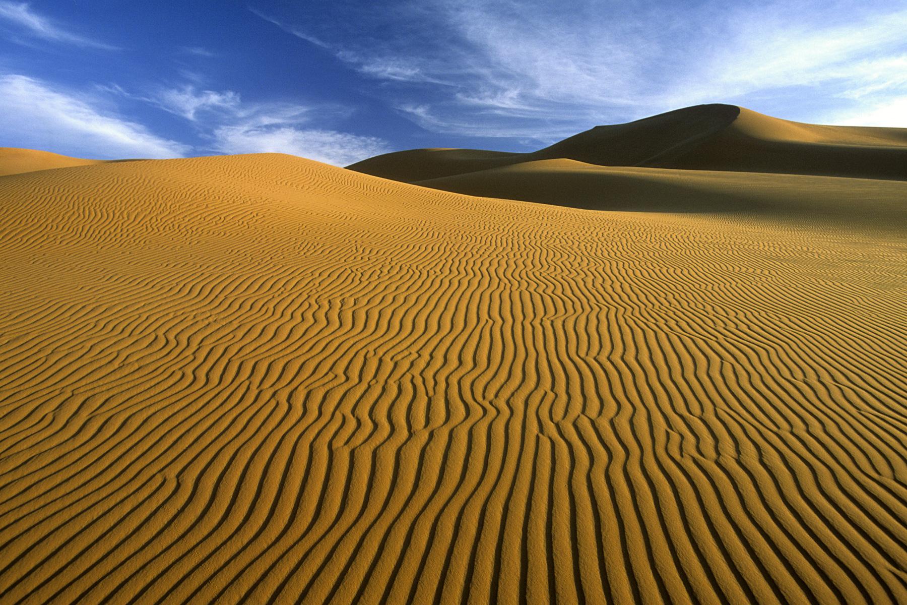 Grandes dunes au versant sculpté par des ridules de sable dans l'Erg Oubari (Lybie).