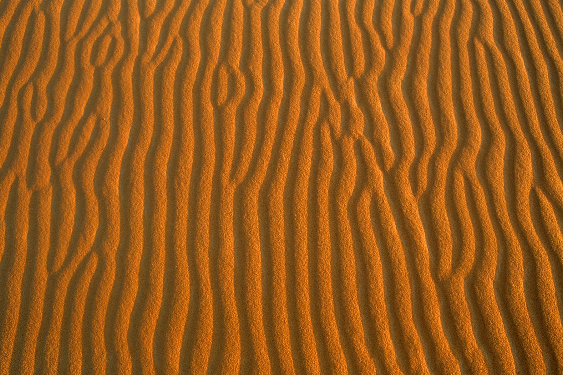 Gros plan sur les rides de sable des dunes de l'Erg Oubari (Lybie).