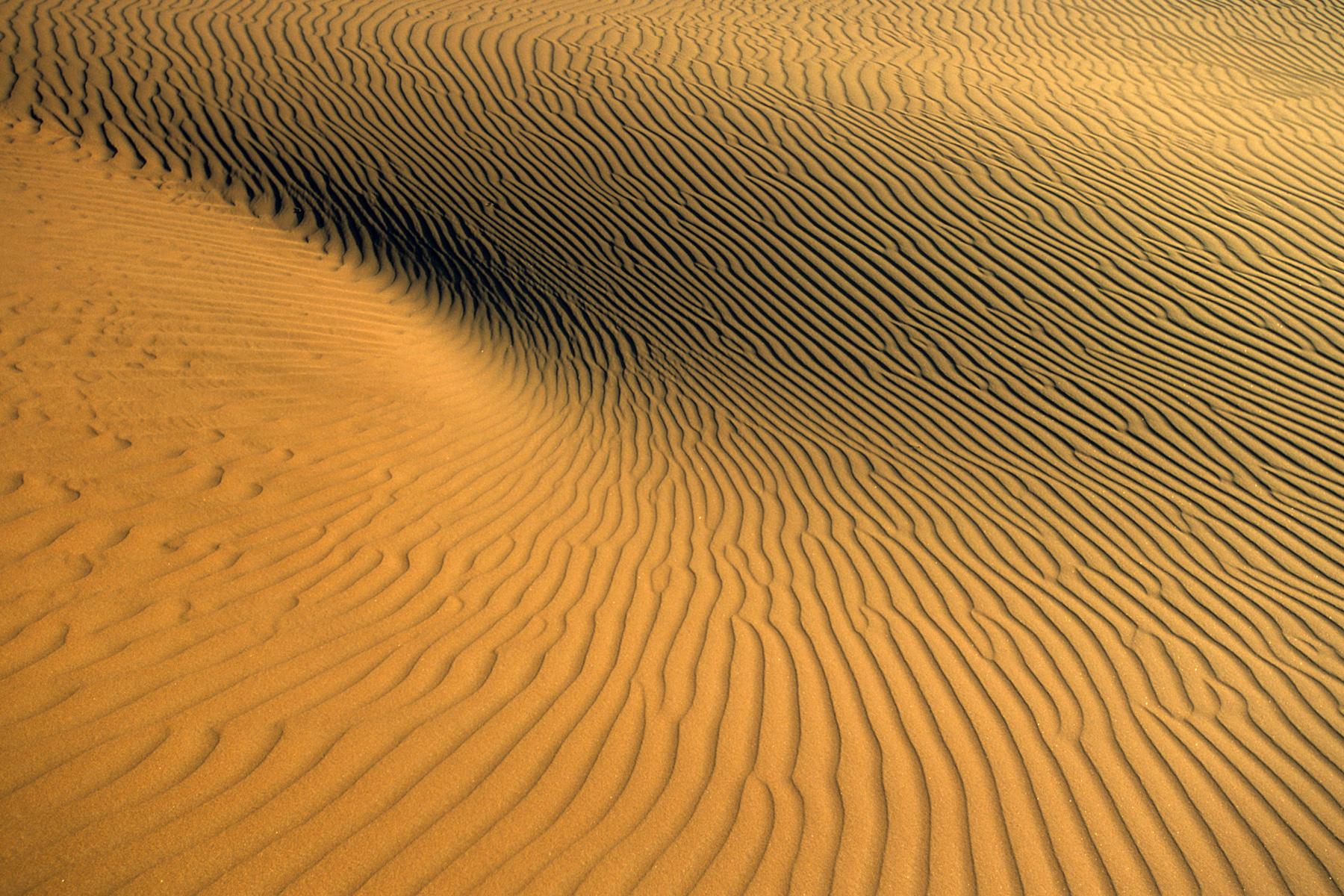  Jeu de lumière  sur les rides de sable dans les dunes de l'Erg Oubari (Lybie).