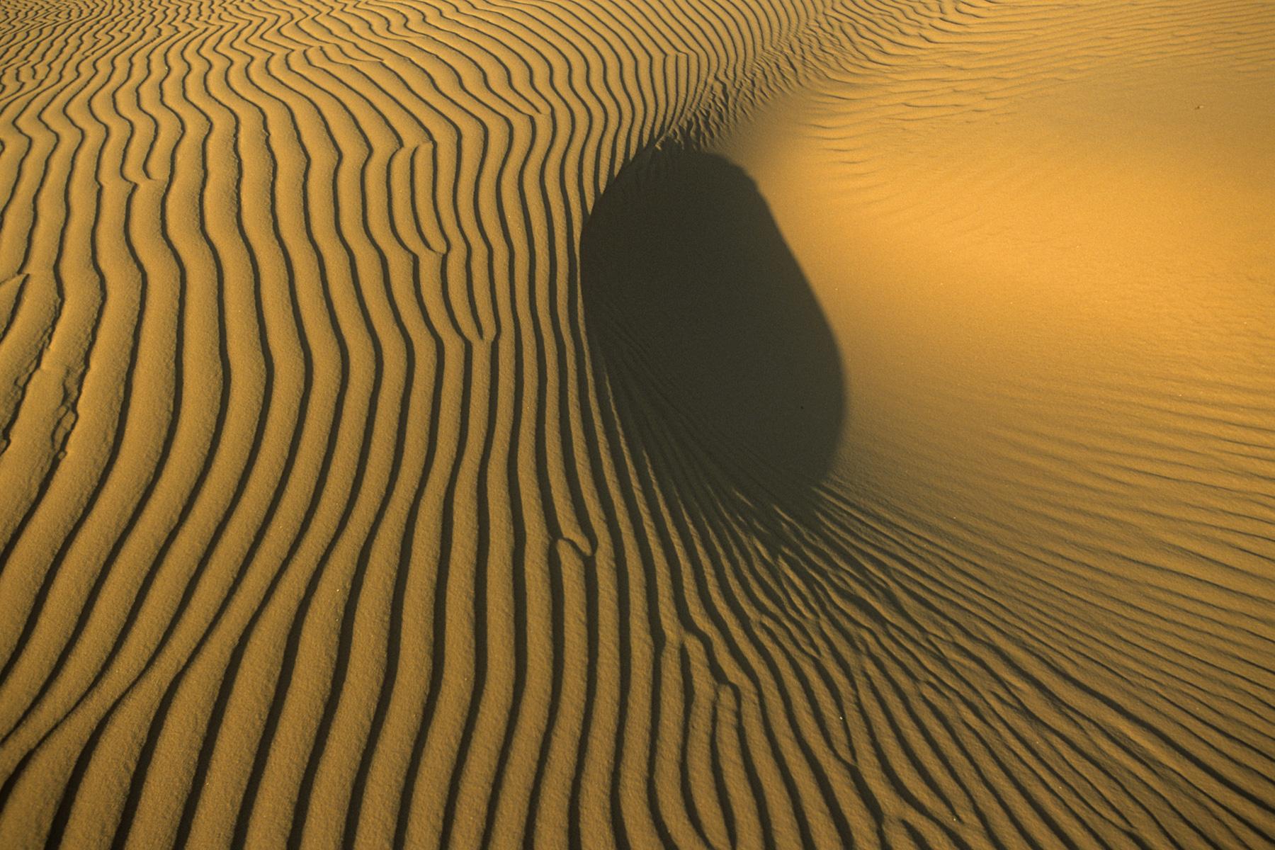 Effets de lumière sur les rides de sable dans les dunes de l'Erg Oubari (Lybie).
