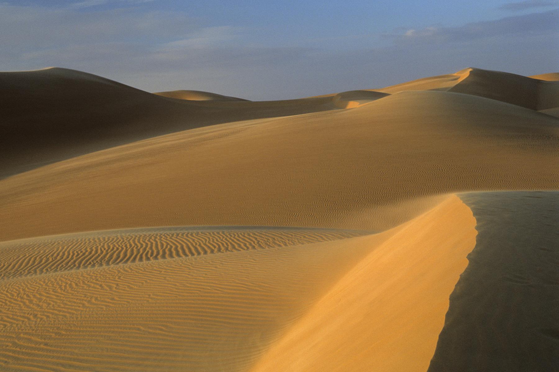 Ensemble de dunes au lever du soleil avec crête éclairée en premier plan.Erg Oubari (Lybie).