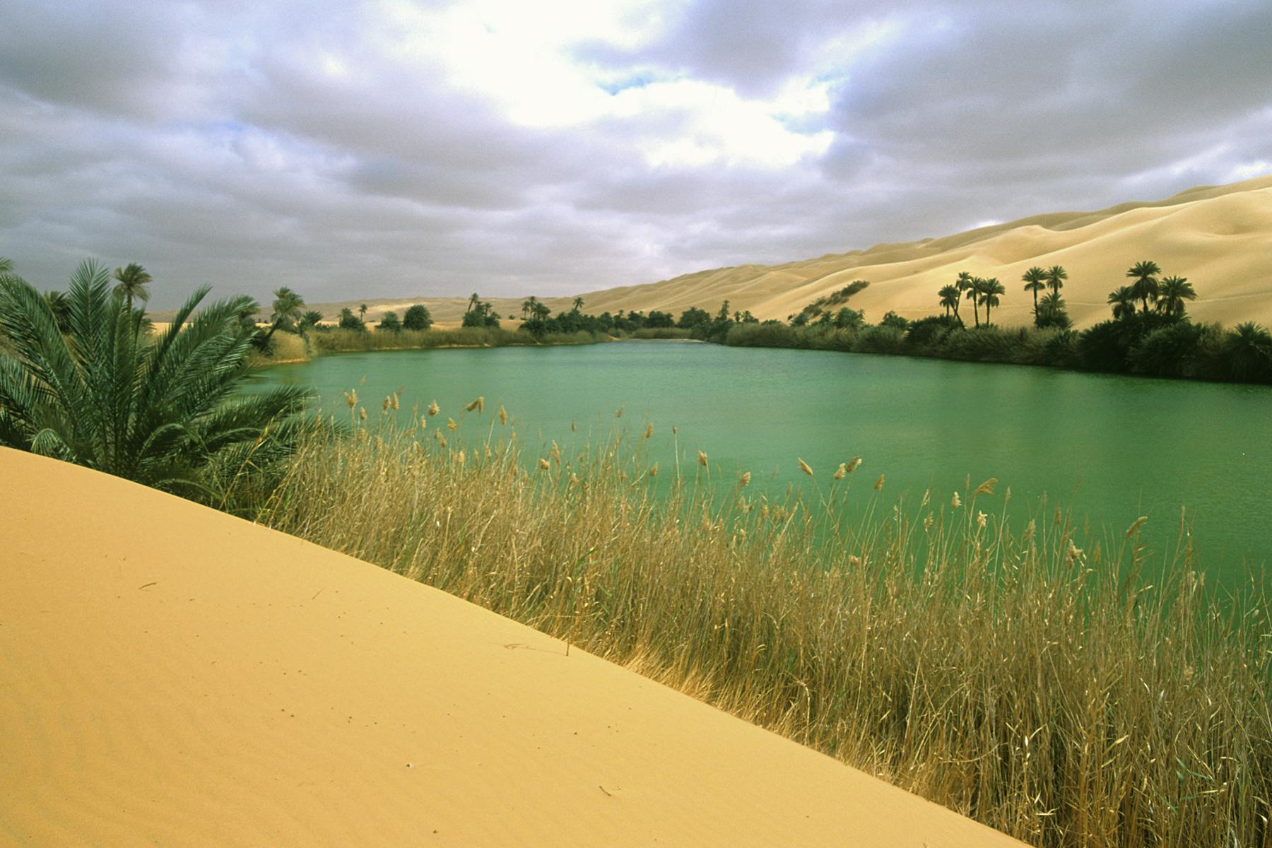 Lac Oum El Ma au milieu des dunes  de l'Erg Oubari (Lybie).