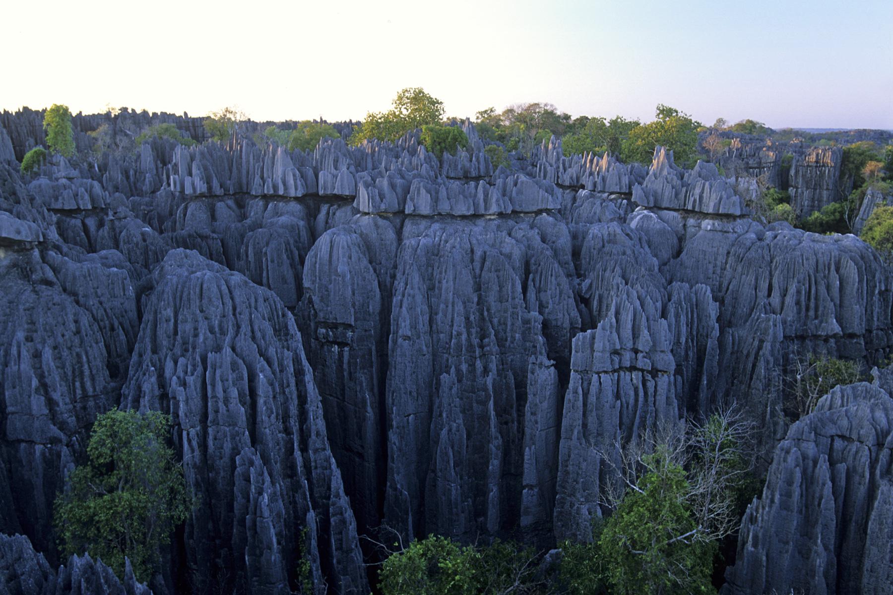 Madagascar - Grands Tsingys de Bemahara 