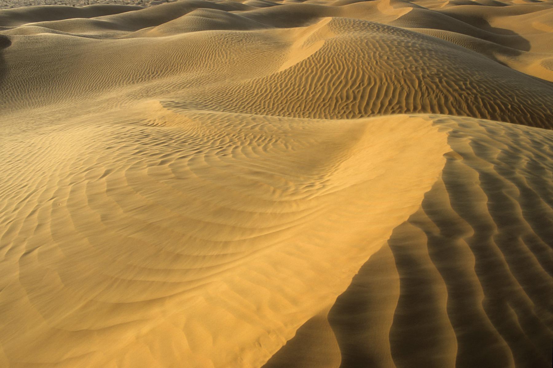 Sud Tunisien. Près de Ksar Ghilane. Coucher de soleil sur les dunes. Crête de sable ridé par le vent en premier plan.