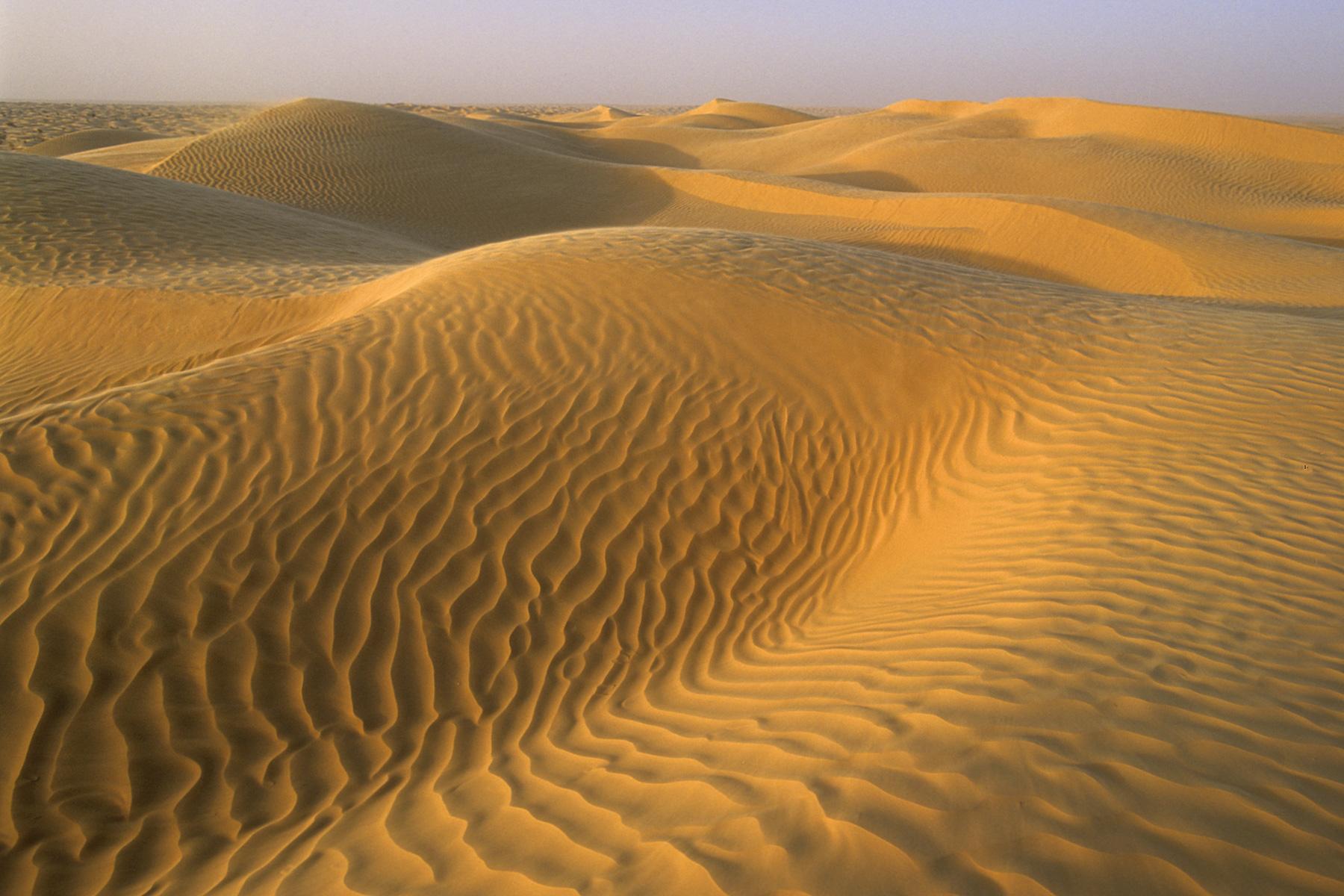 Sud Tunisien. Près de Ksar Ghilane. Coucher de soleil dans les dunes.