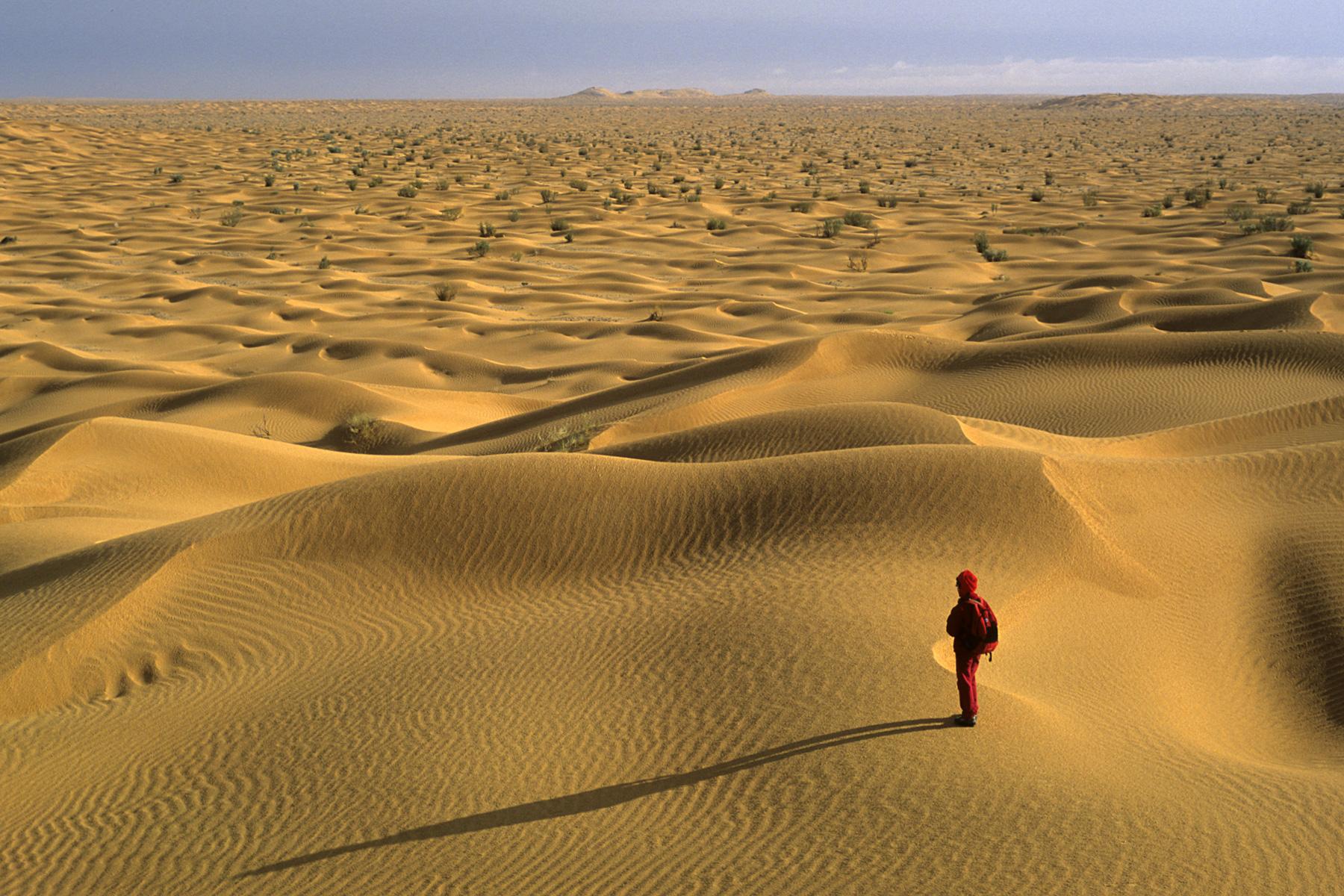  Sud Tunisien. Tembaïn.  Etendue de petites dunes avec personnage marchant sur une crête.