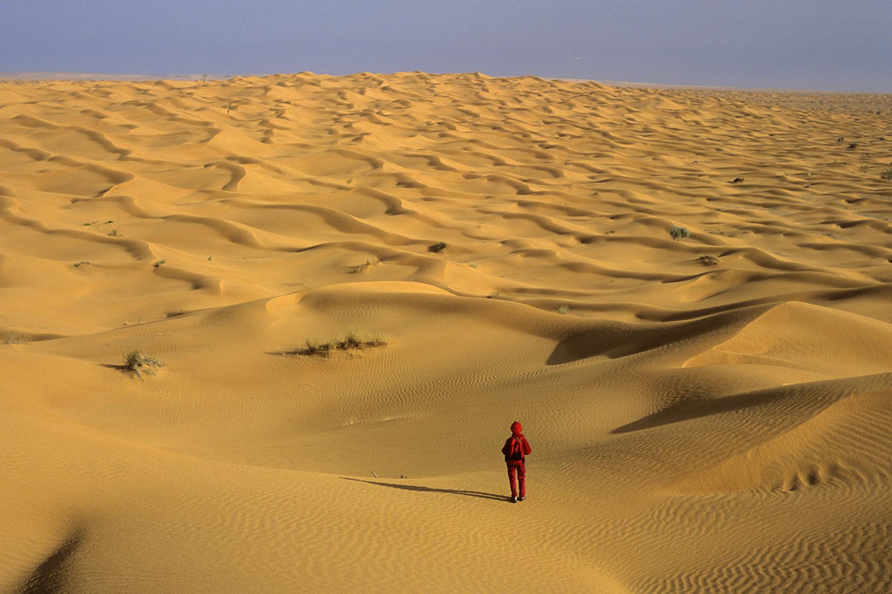 Sud Tunisien. Tembaïn. Etendue de petites dunes avec personnage au premier plan.