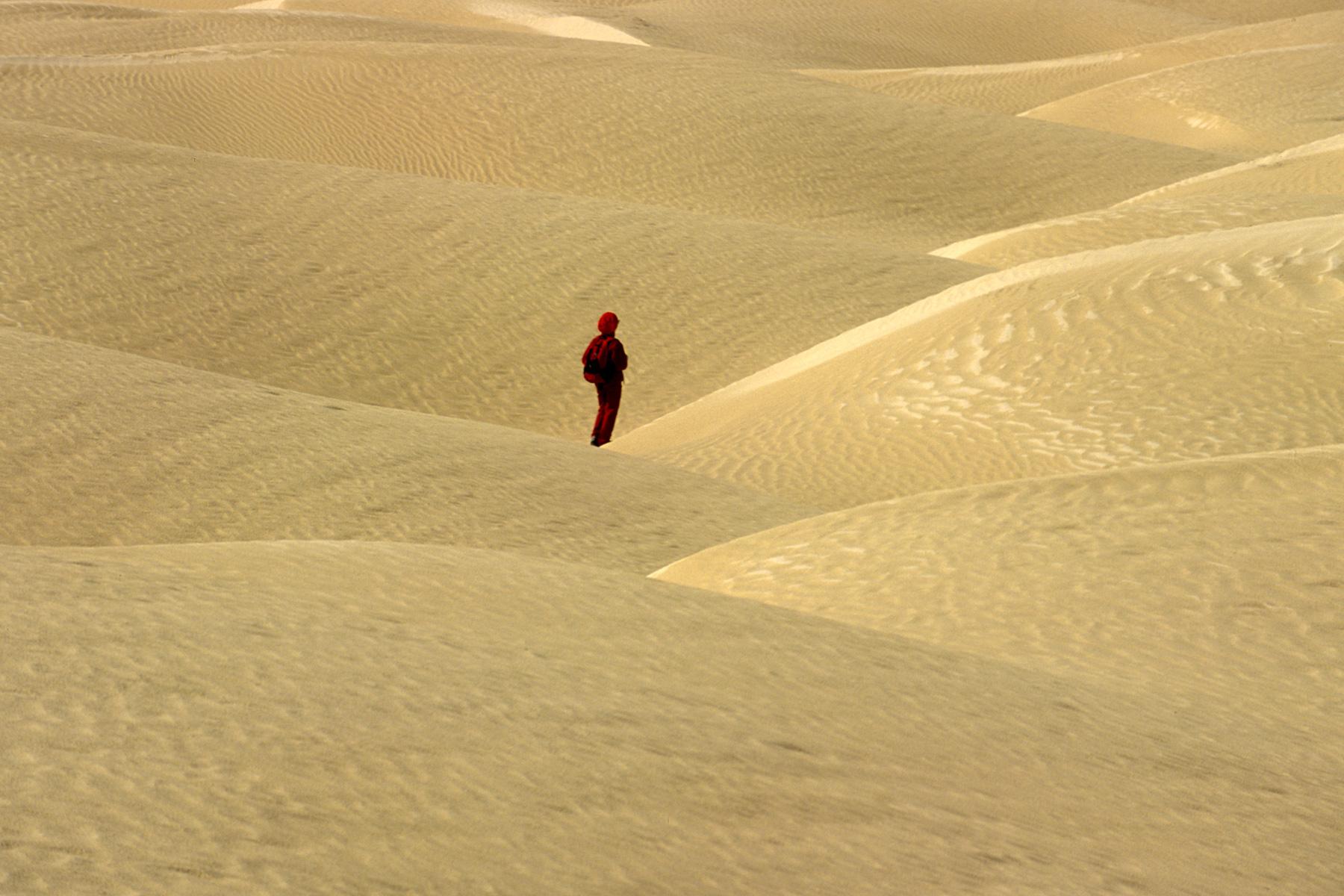 Sud Tunisien. Dunes de sable clair dans la région d'El Faouar avec personnage dans le creux des dunes.