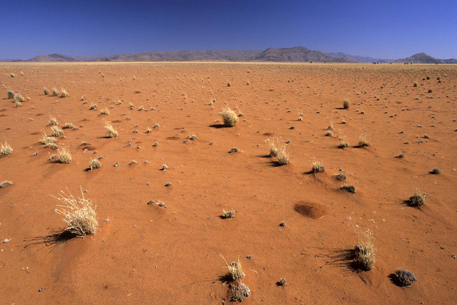 désert de sable images