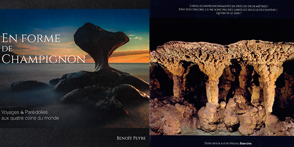 En forme de champignon (Benoît Peyre, Avril 2021)