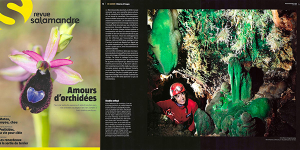 La Salamandre n°287 (Avril 2025)