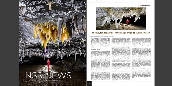 NSS News December 2024