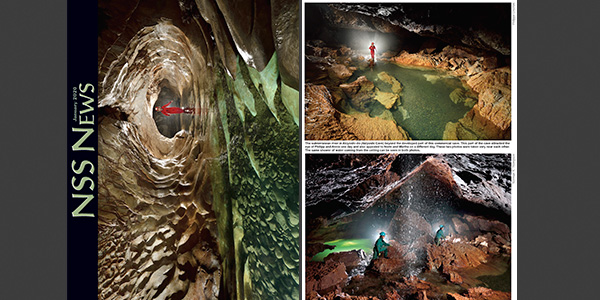 NSS News January 2020