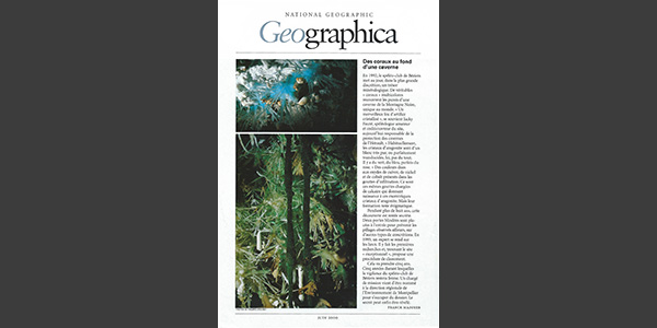National Geographic - Juin 2000