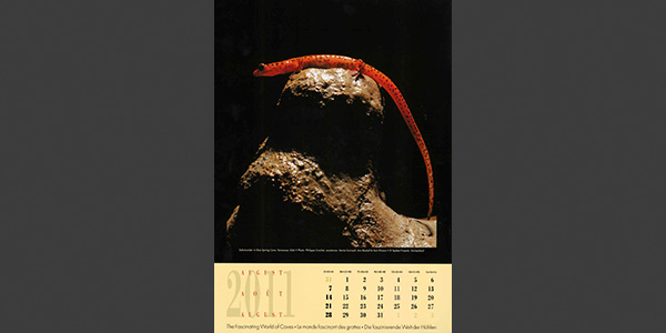 Speleo Project Calendar 2011
