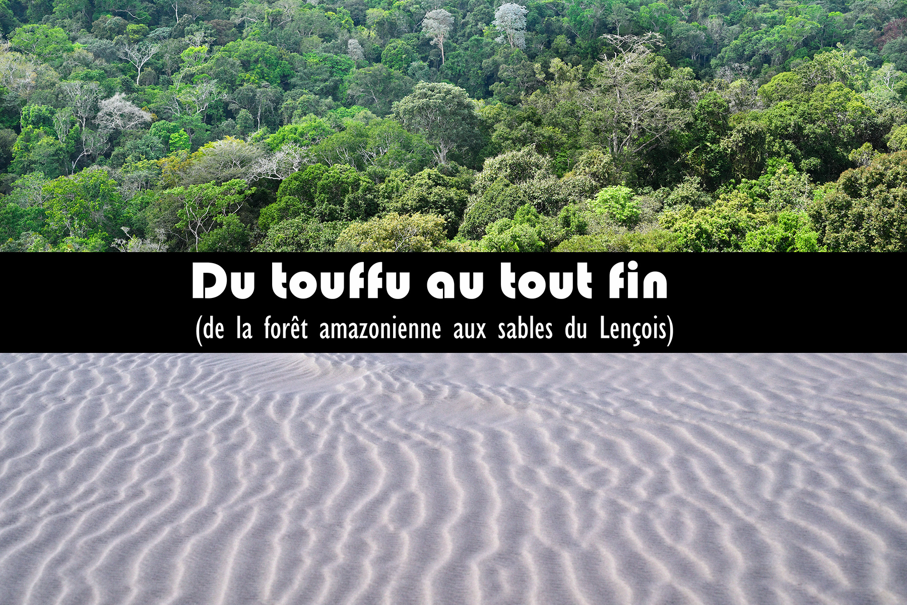 27 - Du touffu au tout fin (2023, 8'00)