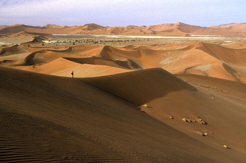Désert Désert